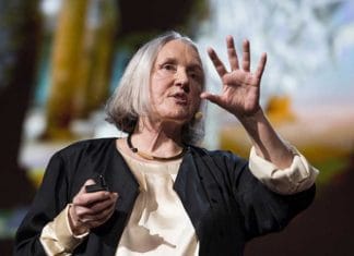 L’INTERVISTA/Sassen (Columbia University): «Le migrazioni? C’è chi viene privato dalle terre» – VIDEO
